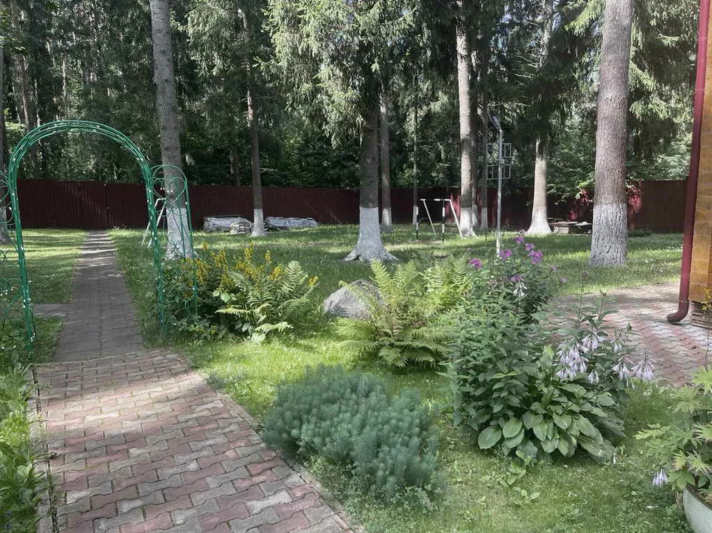 Деревянный дом в соснах, фото 10