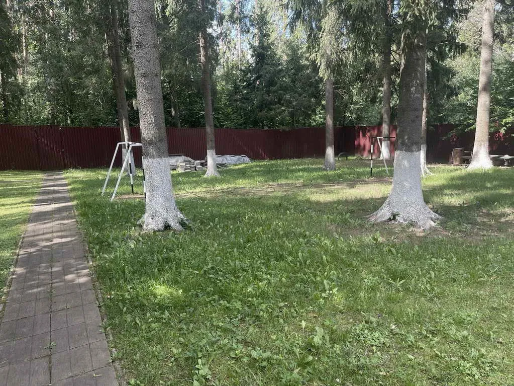 Деревянный дом в соснах, фото 16