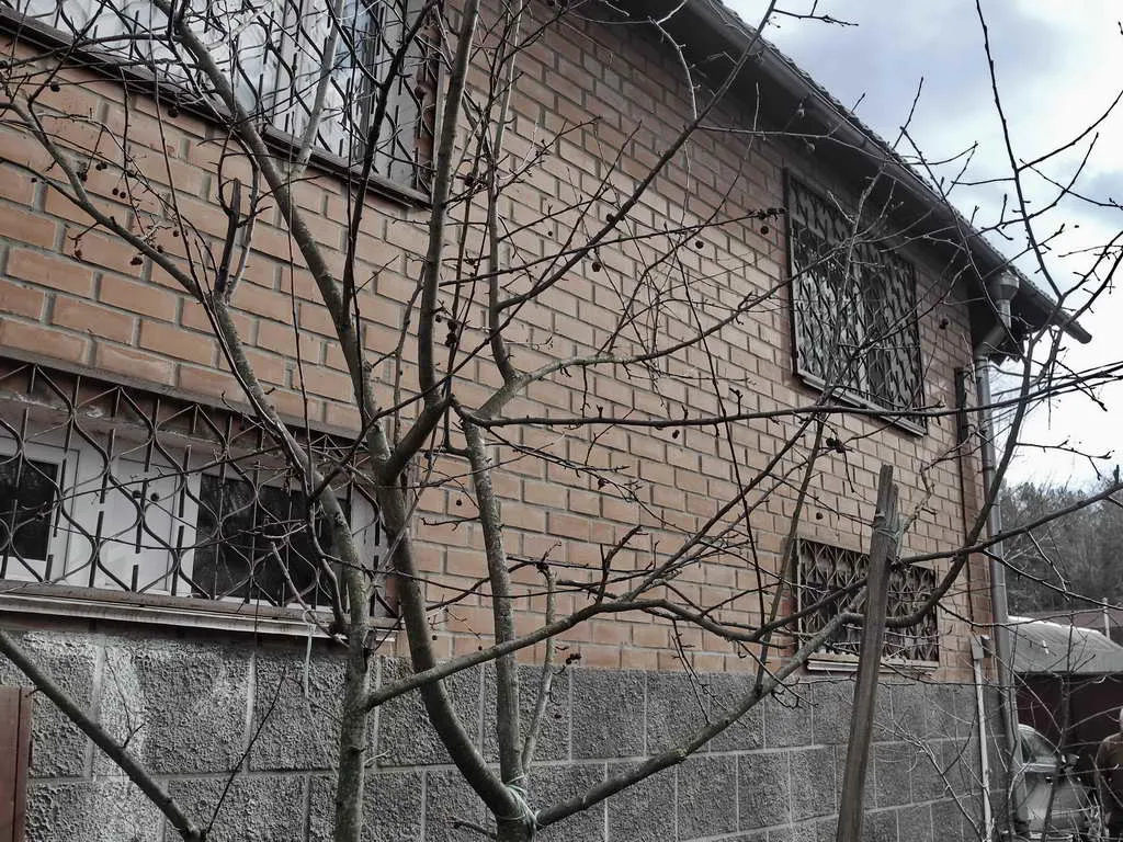 Дача с беседкой на участке, фото 11