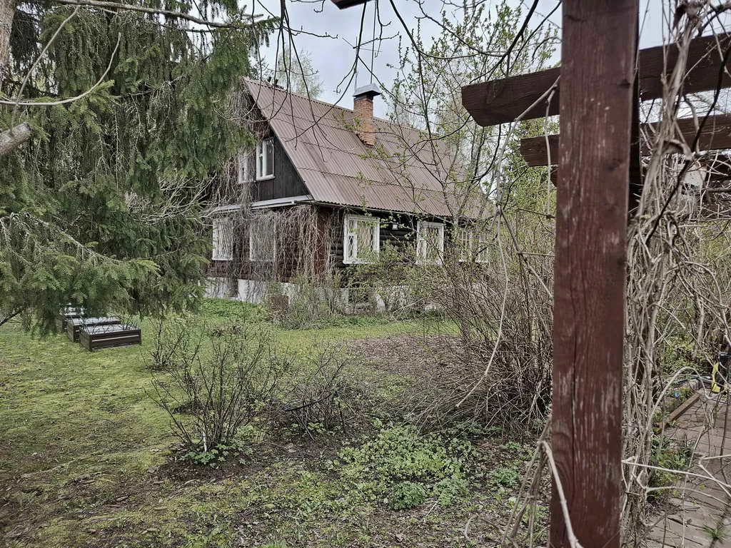 Ретро-дача в лесу, фото 6