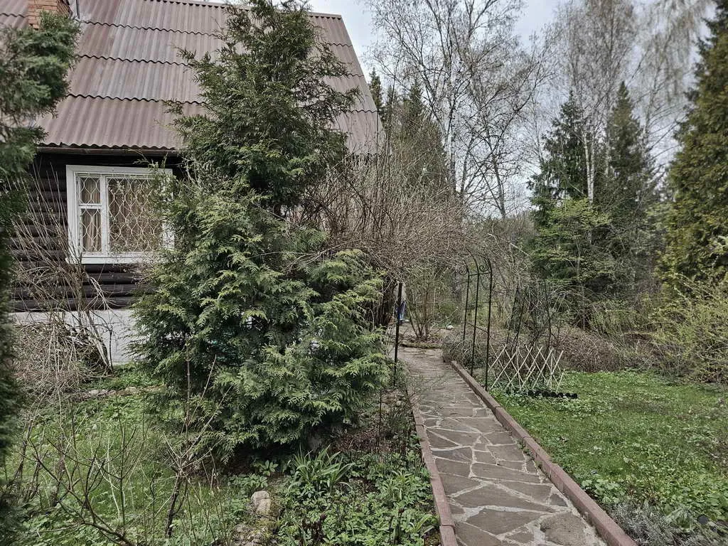 Ретро-дача в лесу, фото 10