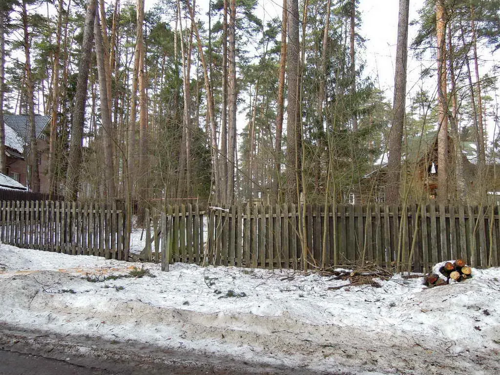 Дача сосновой глуши, фото 1