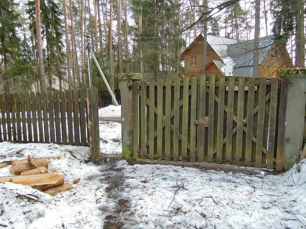 Дача сосновой глуши, фото 7