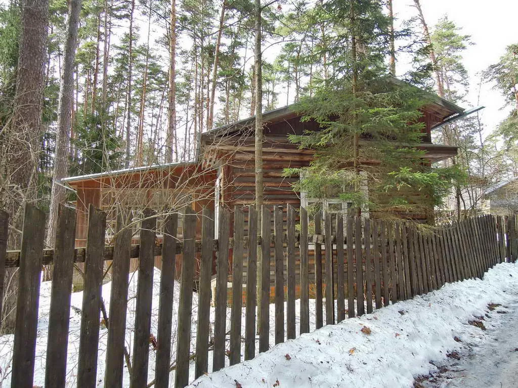Дача сосновой глуши, фото 5