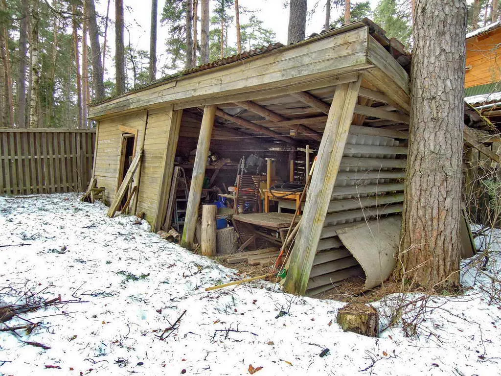 Дача сосновой глуши, фото 12