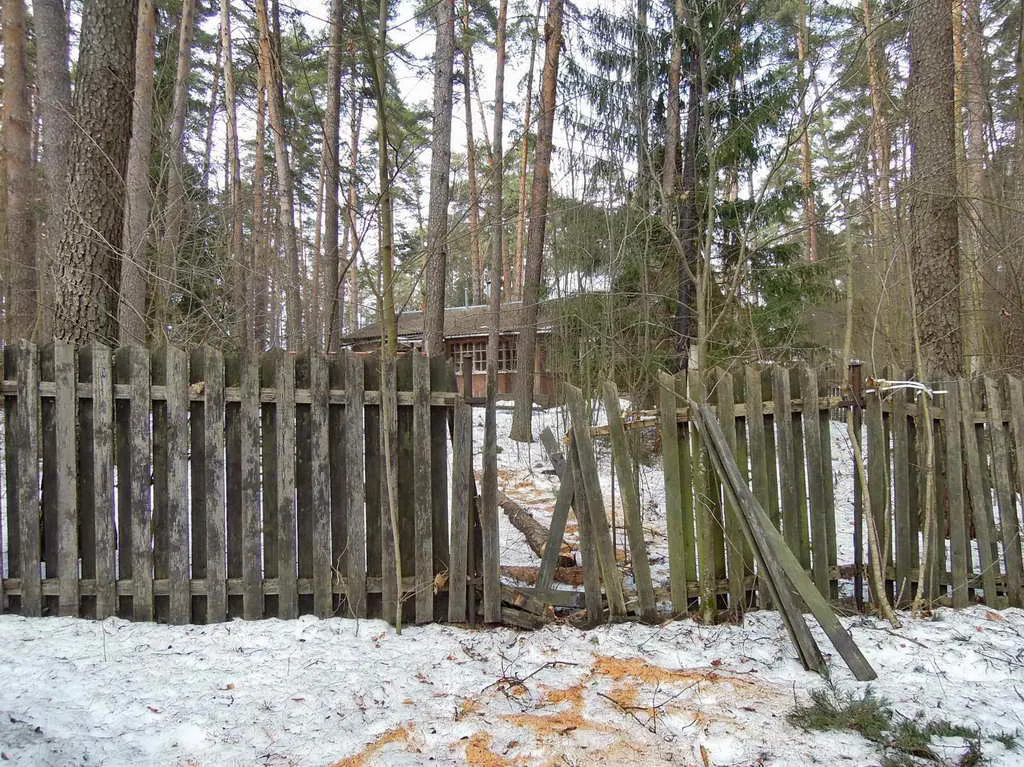 Дача сосновой глуши, фото 3