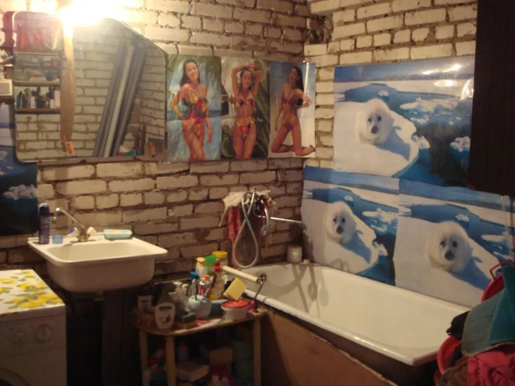 Дача с баней на лето, фото 6