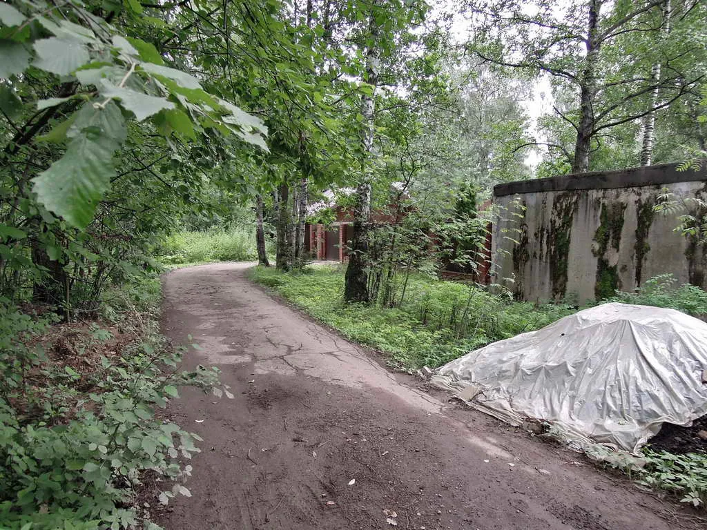 Дача Плющом Заросшая, фото 2