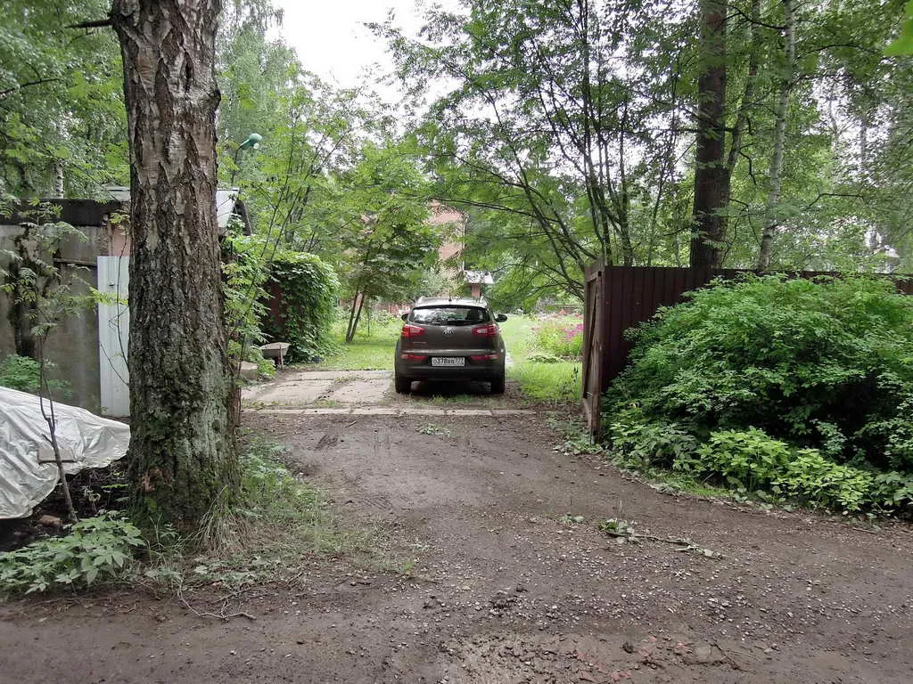 Дача Плющом Заросшая, фото 3