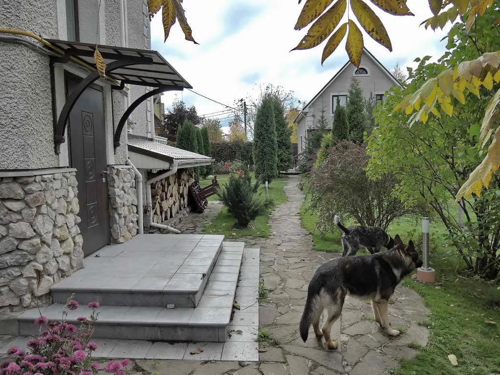 Большой дом с ивой и беседкой, фото 14