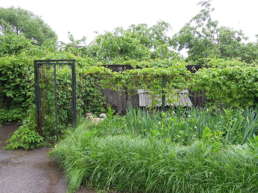 Дача, грязная дорога, фото 12