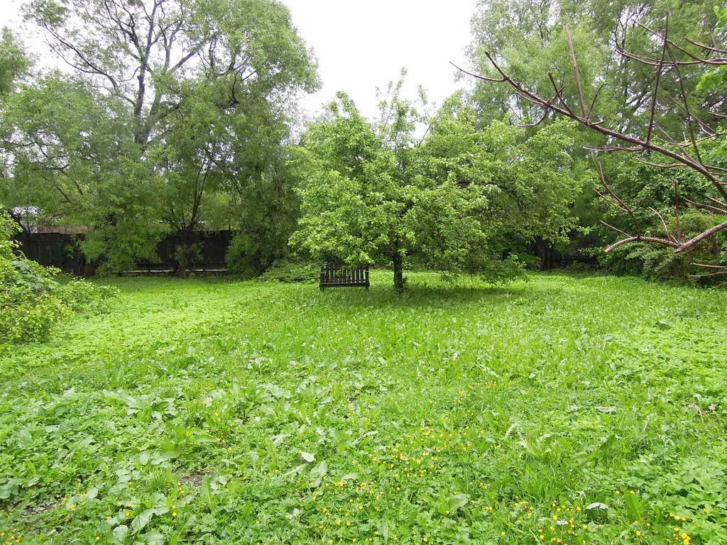 Дача, грязная дорога, фото 19