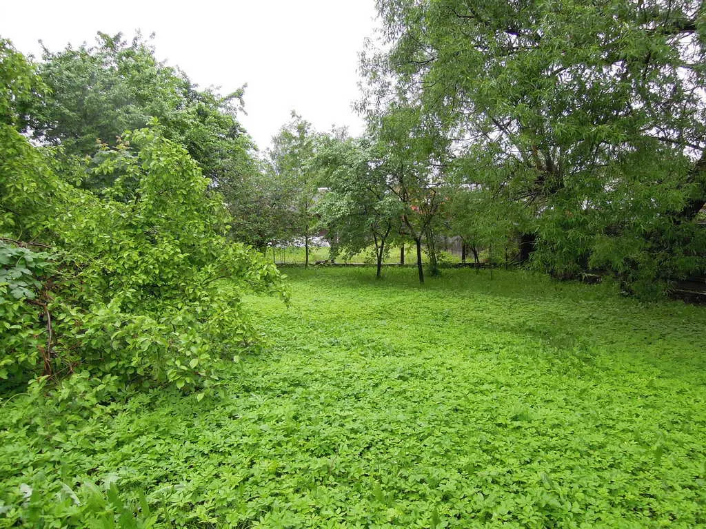 Дача, грязная дорога, фото 20