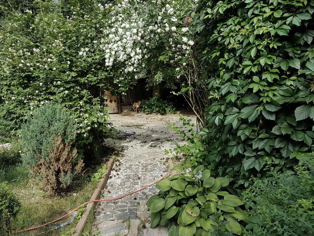 Дача в лесном переулке, фото 16