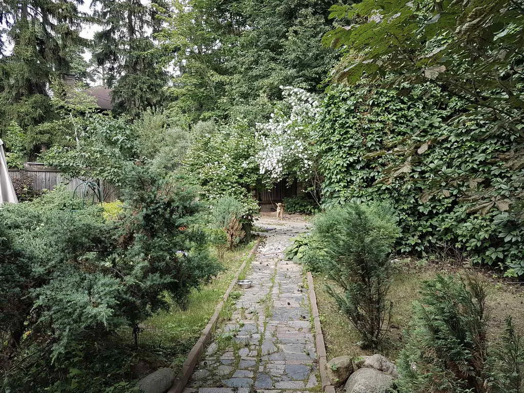 Дача в лесном переулке, фото 15
