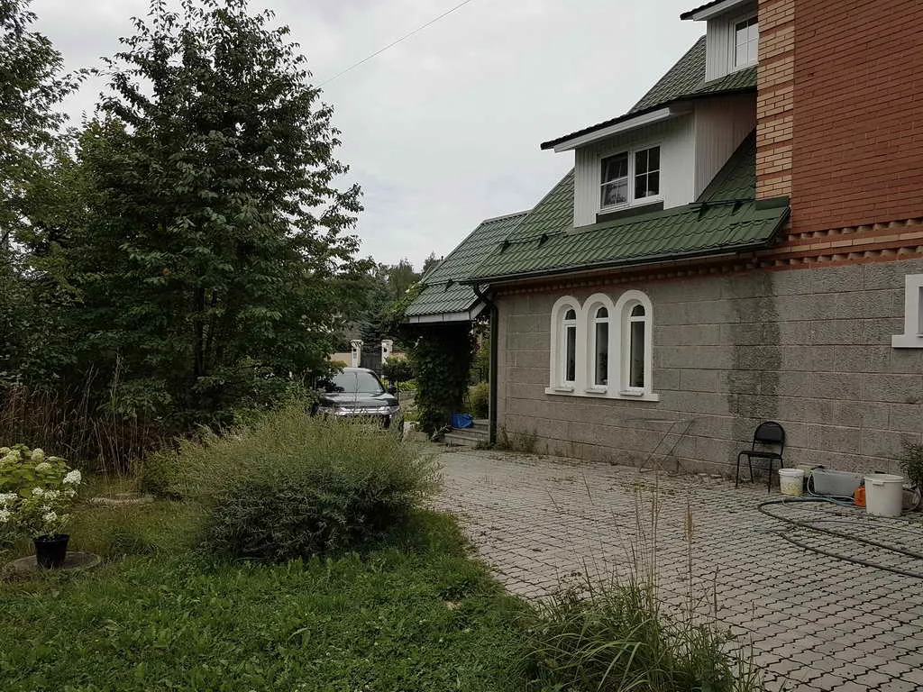 Большой дом с лианами, фото 19