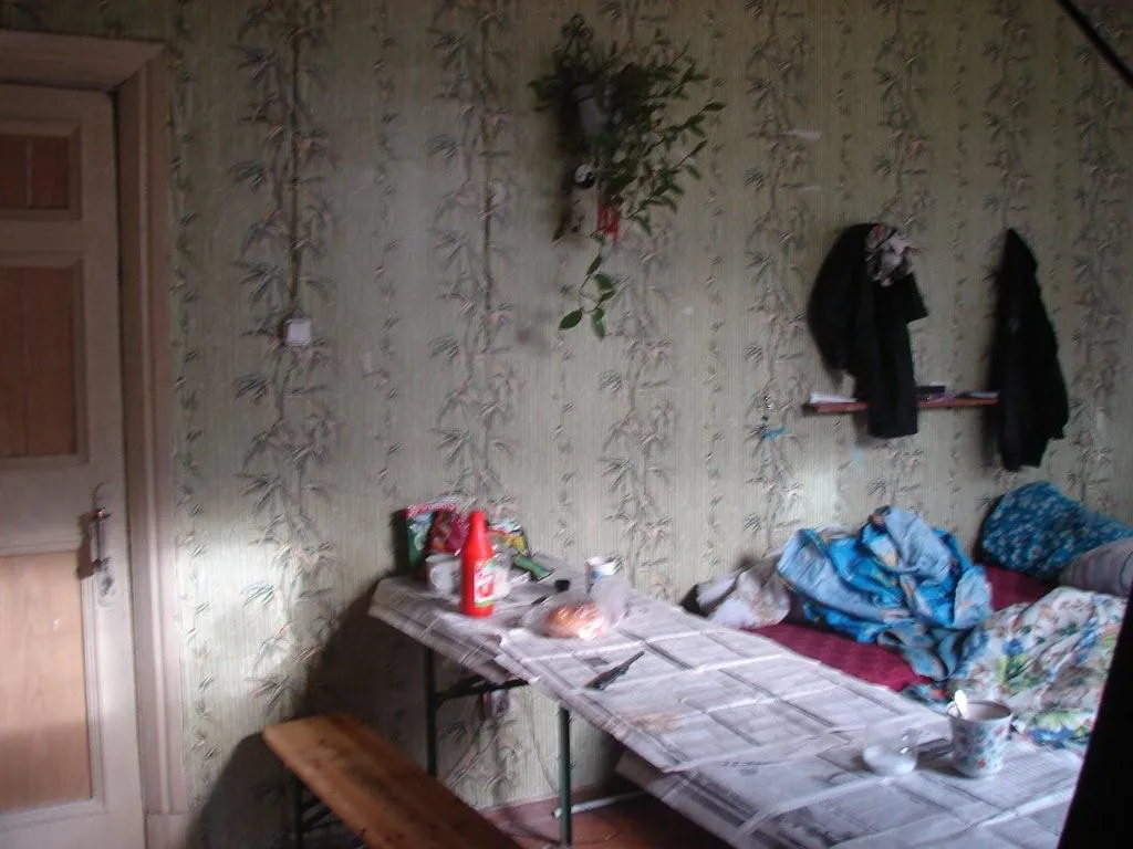 Дача с зелёной верандой, фото 11