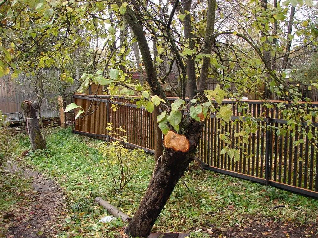 Дача с зелёной верандой, фото 18