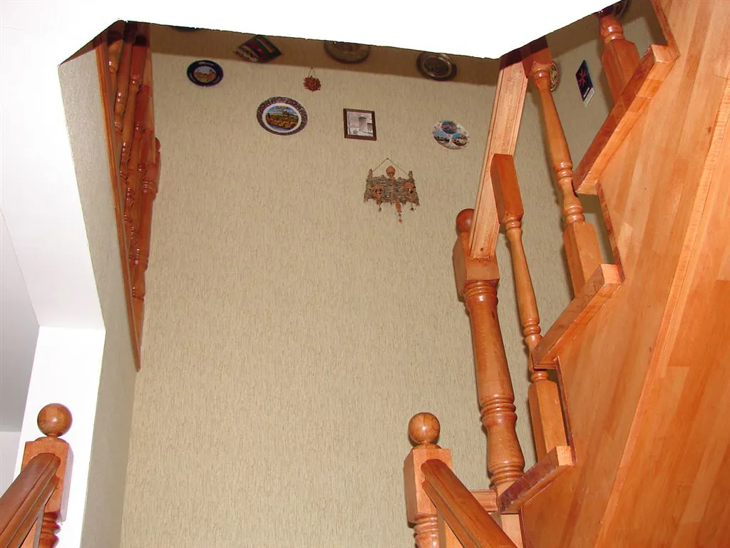 Загородный дом с деревом, фото 5