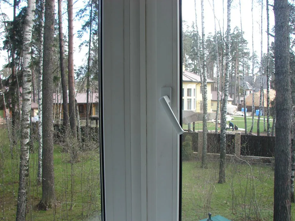 Загородный дом с деревом, фото 19