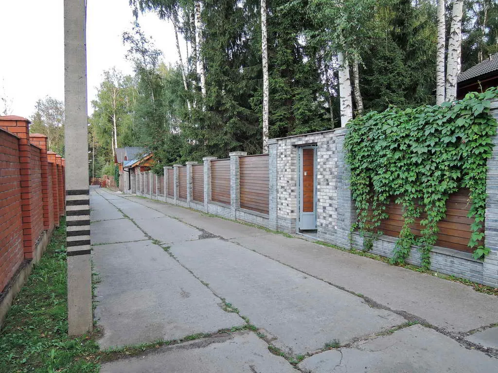 Дача с березовой рощей, фото 1