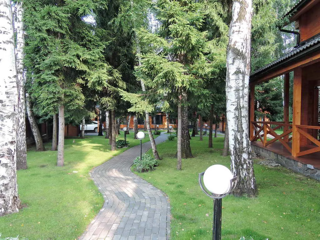 Дача с березовой рощей, фото 5