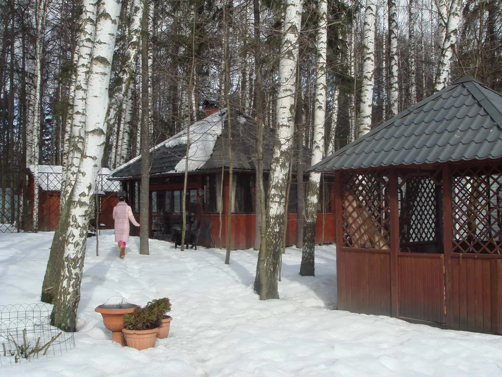 Дача с виноградной ковкой, фото 24