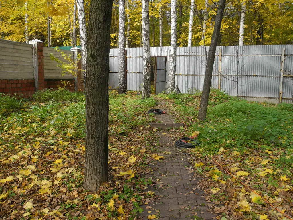Дача с виноградной ковкой, фото 17