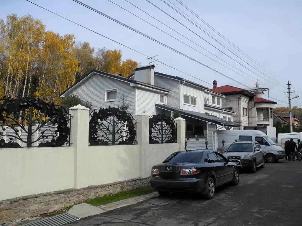Дача с виноградной ковкой, фото 1