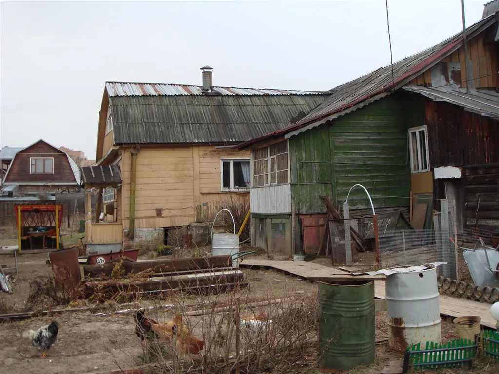 Дача с двориком и птицей, фото 4