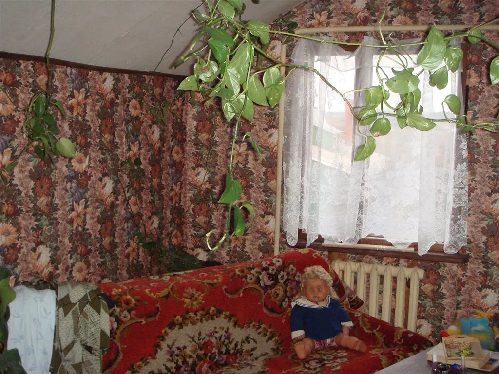 Дача с двориком и птицей, фото 15