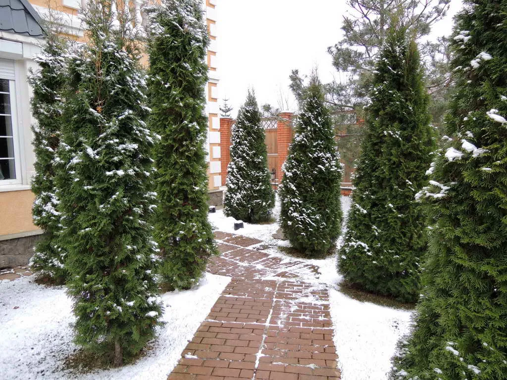 Загородный дом с гаражом, фото 7