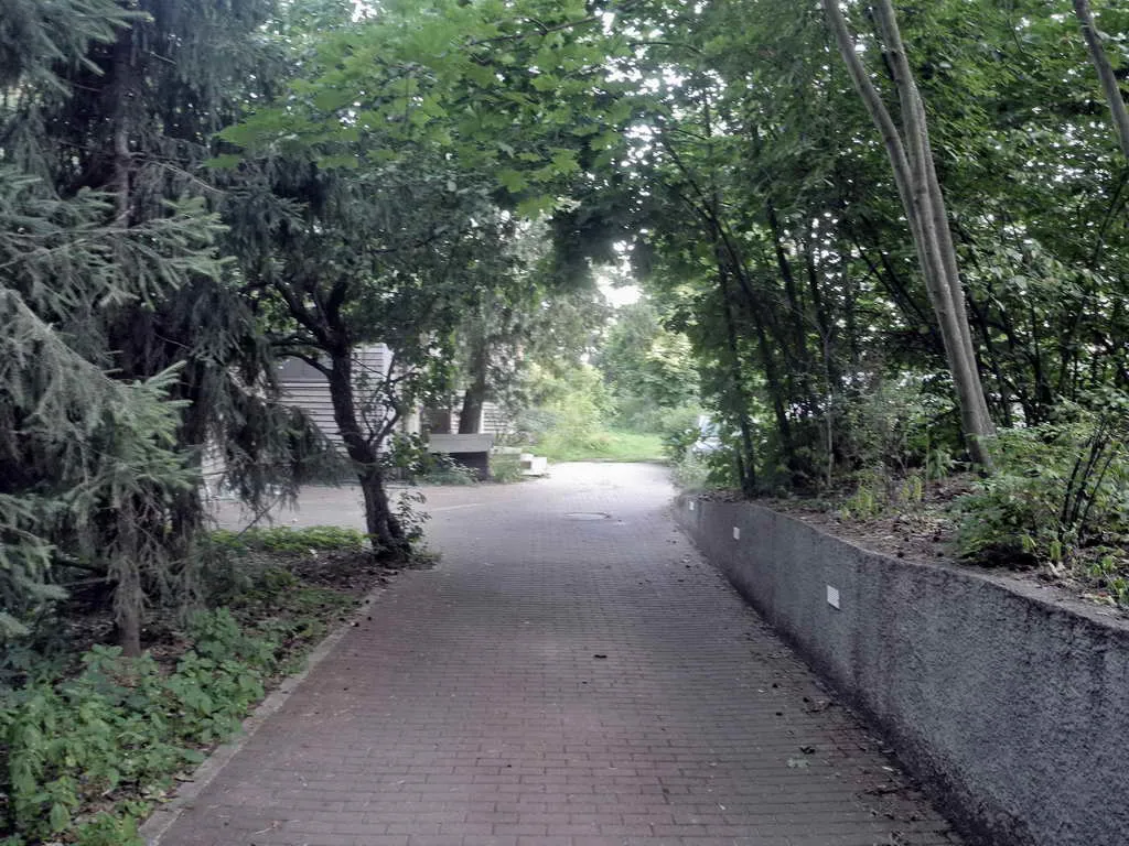 Дача на лесном склоне, фото 2