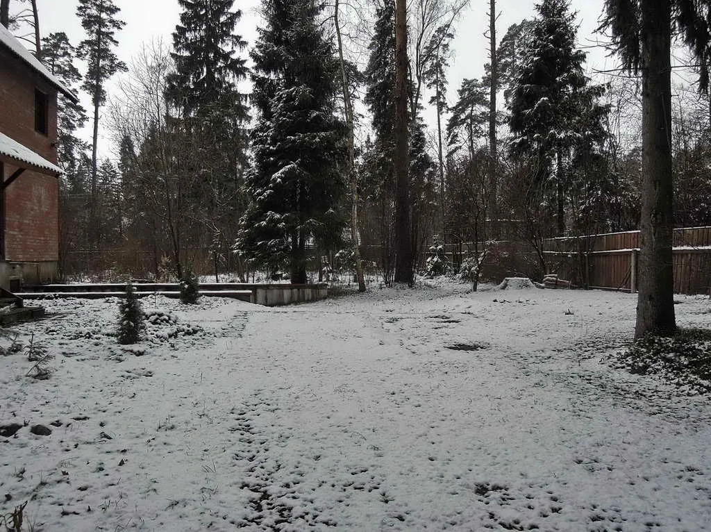 Дача Кирпичные Ели, фото 3