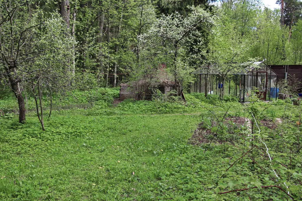 Дача с красным домом, фото 14