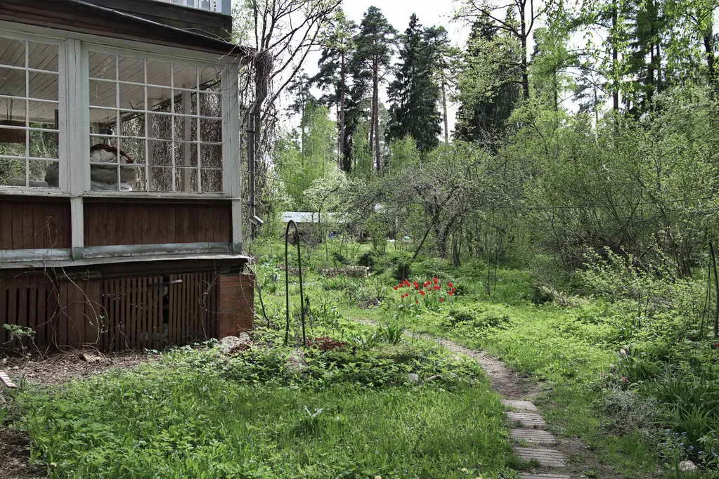 Дача с красным домом, фото 12