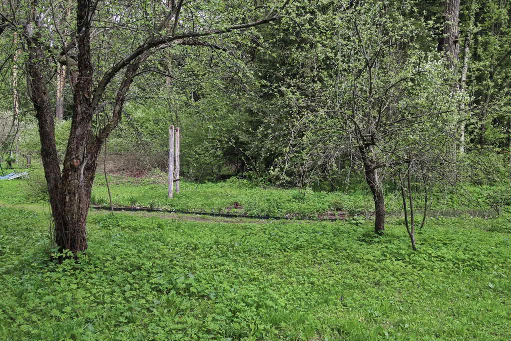 Дача с красным домом, фото 15
