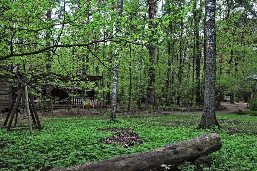 Дача Кирпичные Столбы, фото 20