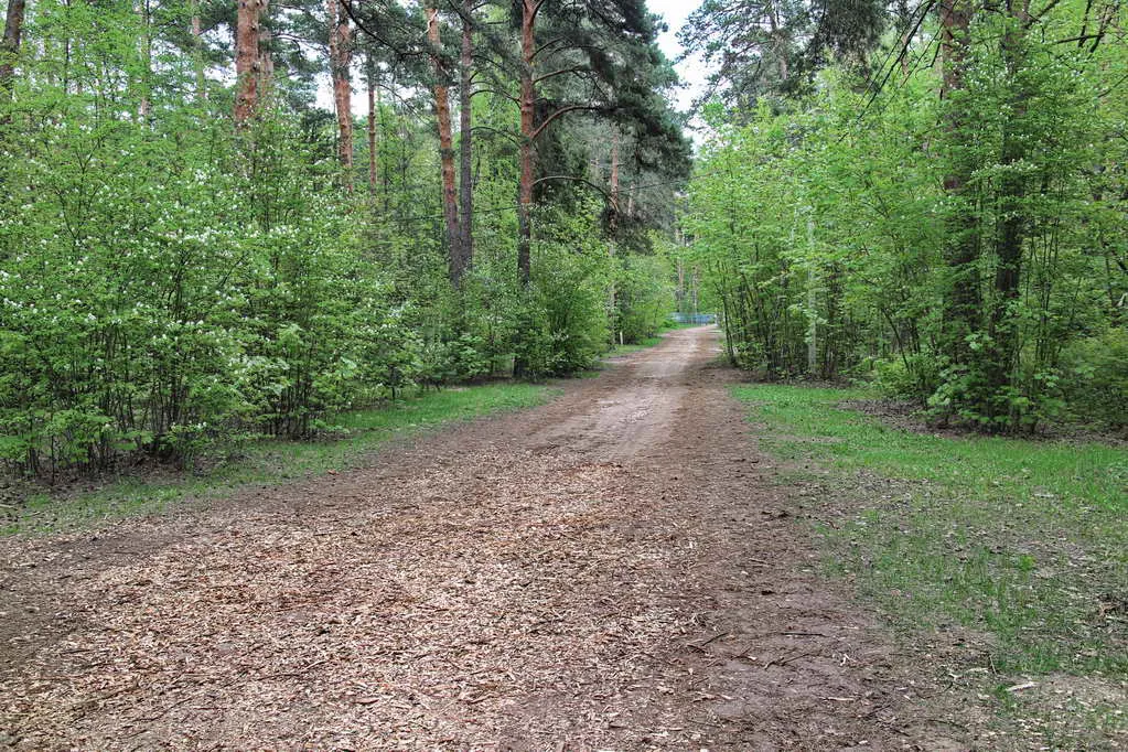 Дача Кирпичные Столбы, фото 1