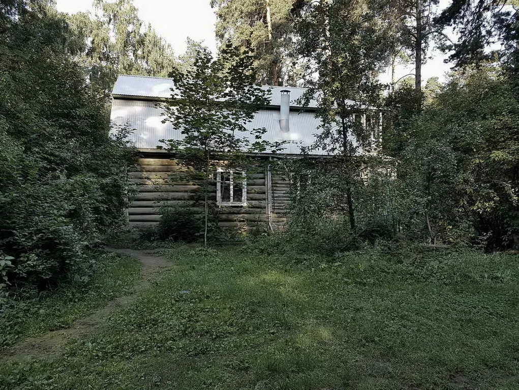 Дача за зелёным частоколом, фото 17