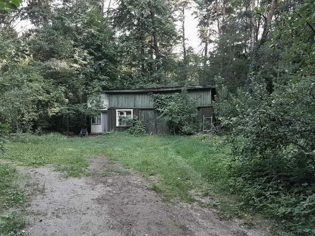 Дача за зелёным частоколом, фото 15