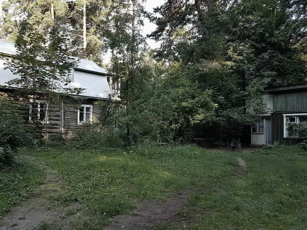Дача за зелёным частоколом, фото 16