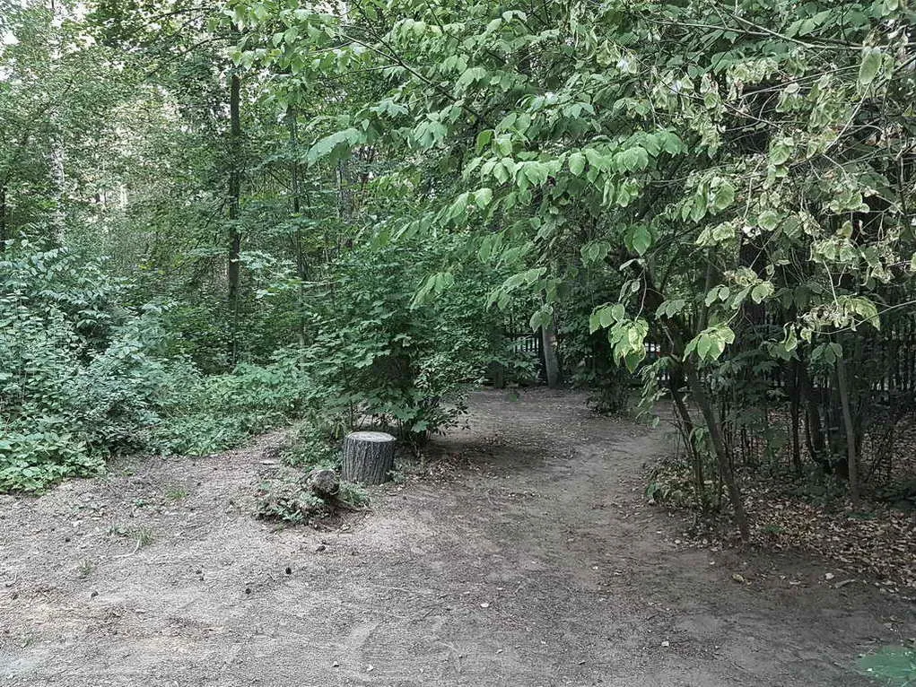 Дача за зелёным частоколом, фото 23