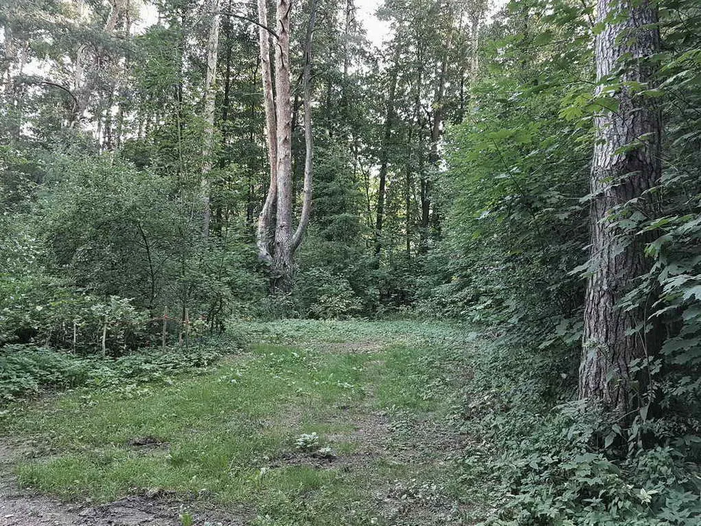 Дача за зелёным частоколом, фото 14