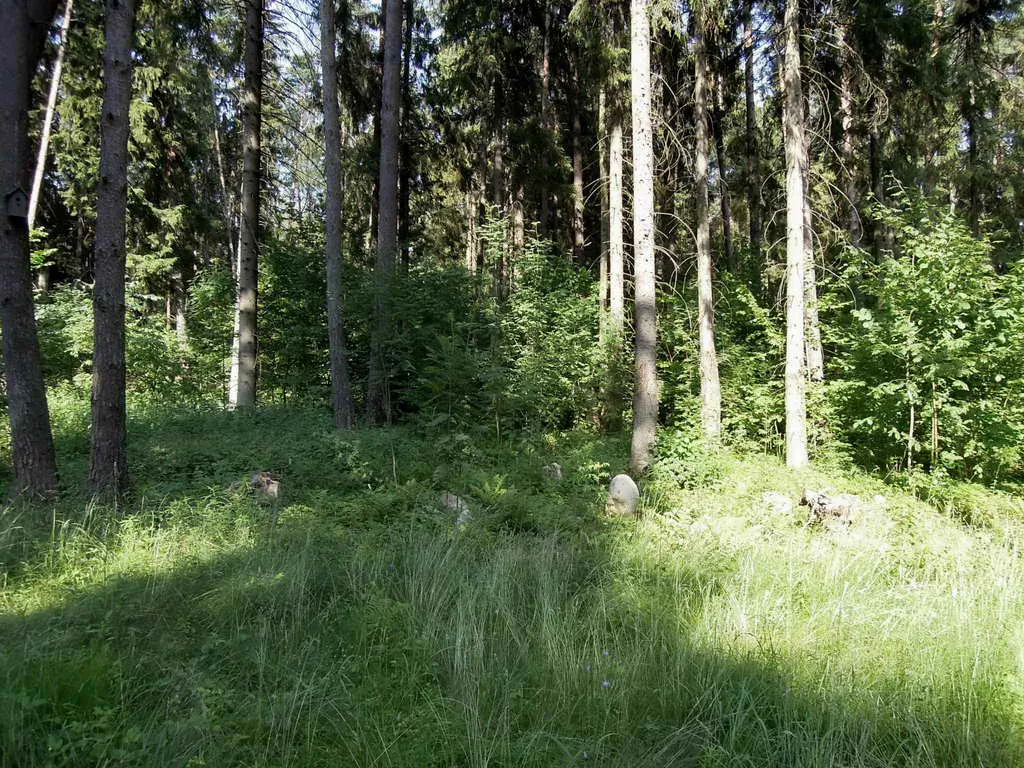 Купольный дом в лесу, фото 12