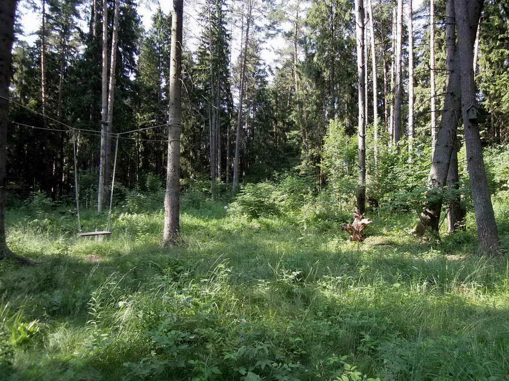 Купольный дом в лесу, фото 11