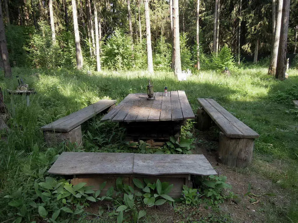Купольный дом в лесу, фото 9