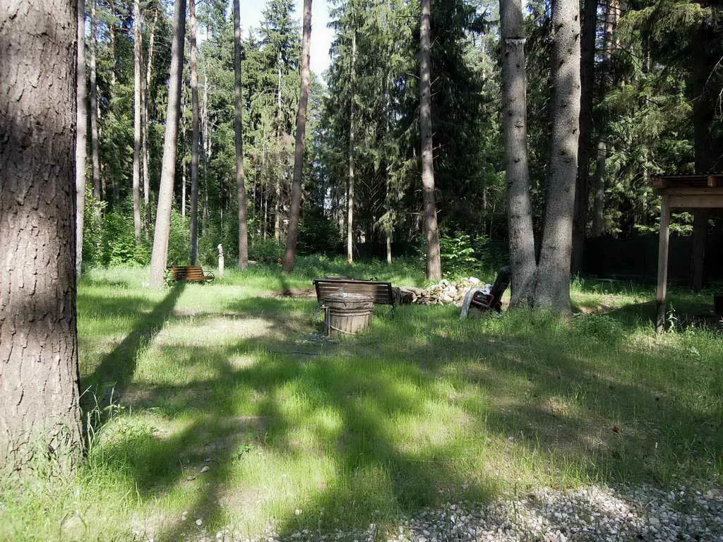 Купольный дом в лесу, фото 14