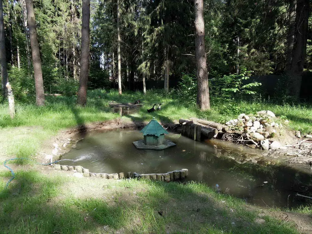 Купольный дом в лесу, фото 16