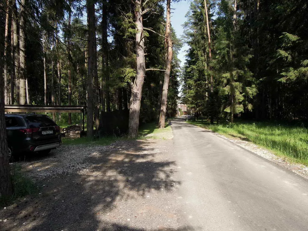 Купольный дом в лесу, фото 1